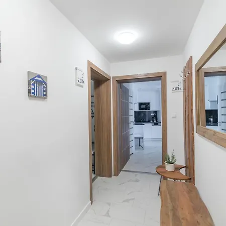 Carbona Kakadu 203 B