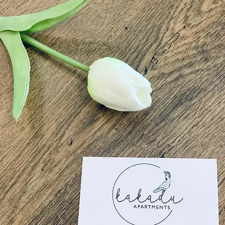 Apartamento Carbona Kakadu 203 B *